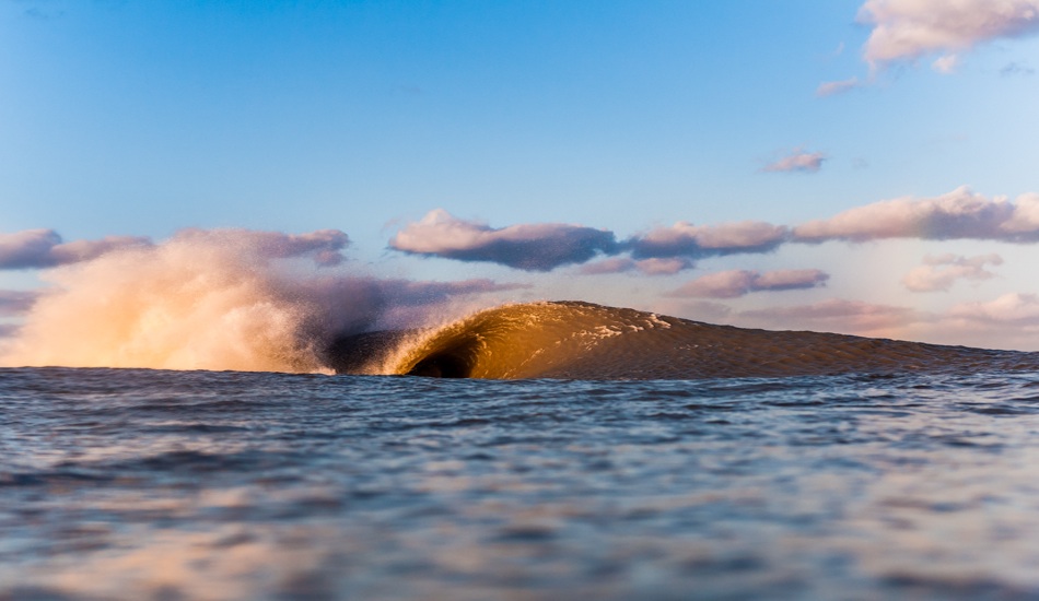 Ay Carumba... Photo: <a href=\"https://bennycrum.tumblr.com/\" target=_blank>Benny Crum</a>